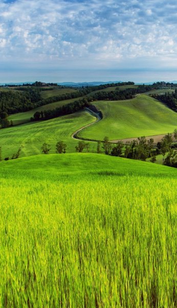 Screenshot 20260326-141859 One UI Home