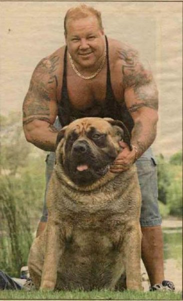 Hercules