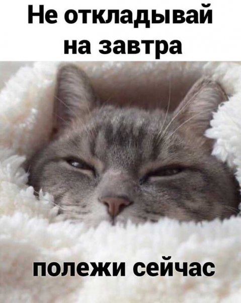 Полежи сейчас