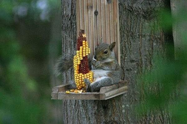 IMG 20150925 154037 65