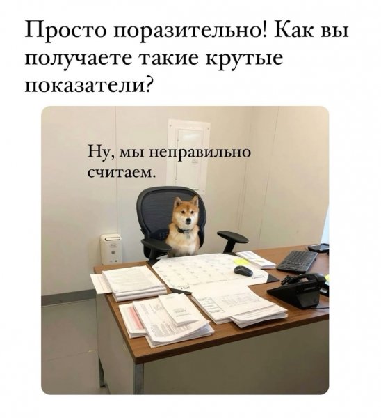 HMUVfJy6Kf1XqBC7qRGqyOYC8J1WnONkCGTUjHSQ2yZoYLwn