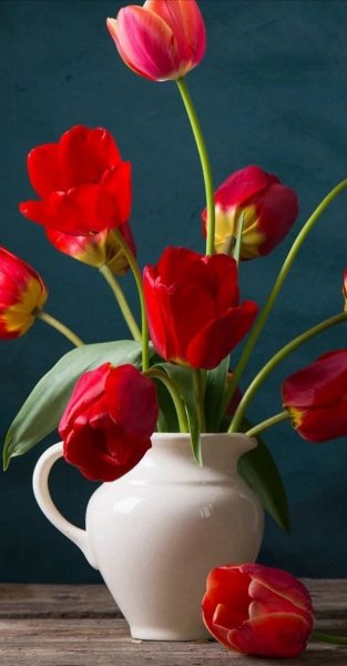 Арт Коллекция