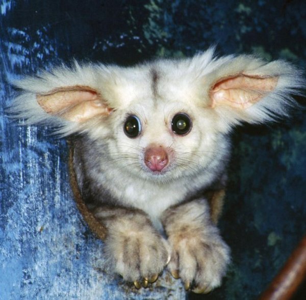 f8e8b1185ca6e3c595876f9b