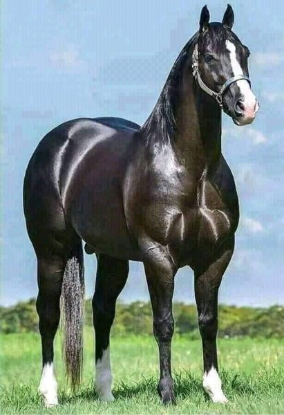 23-27-46-220492570 590931232070385 8130832359208047826 n