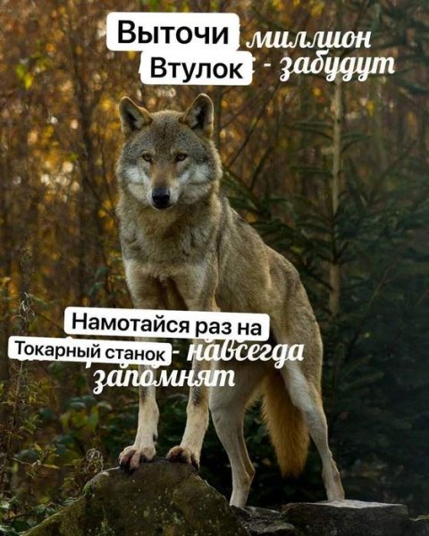 3f46c133ee 20561686