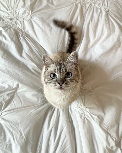 5WH86dhz Z7L8uMasv4J22lKjHLeTP5wuCnTrppXIyAukfrFvGrlELvR6K