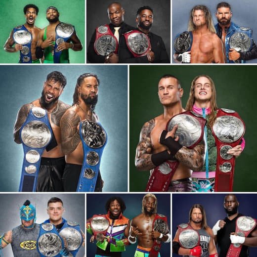 WWE (245)