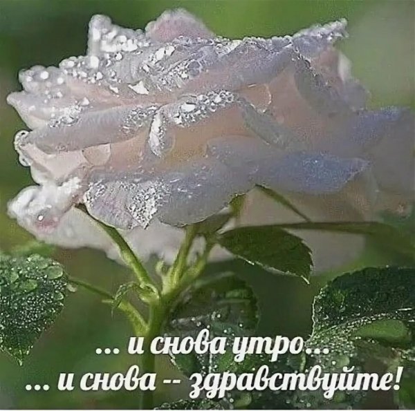 Доброе утро!