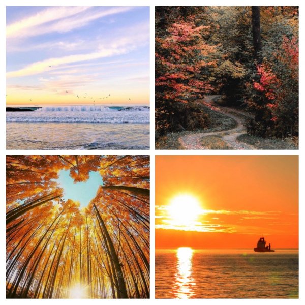 COLLAGE