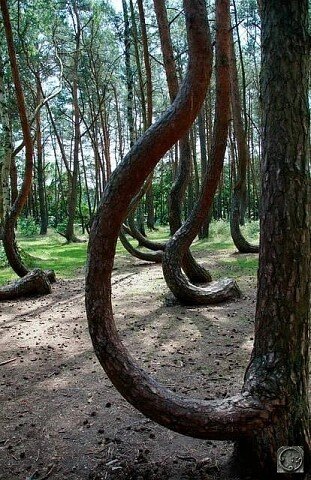 I - 2025-10-26T113338.822