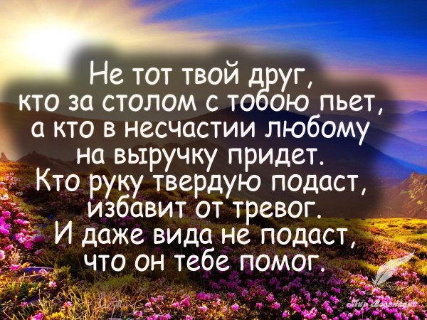 Верные слова!