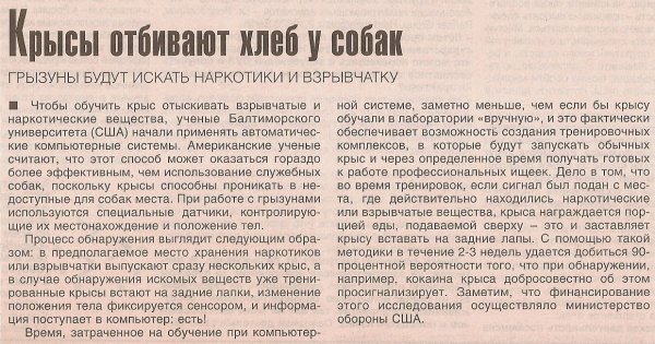 Крысы отбивают хлеб у собак