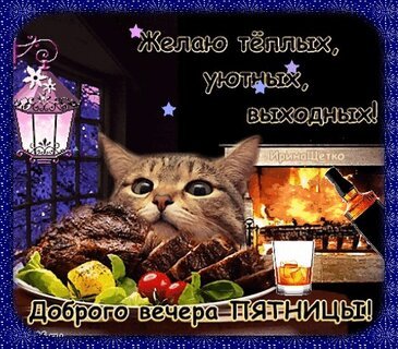 IMG-20260214-WA0005