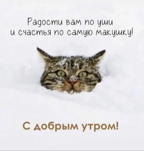 С добрым утром!