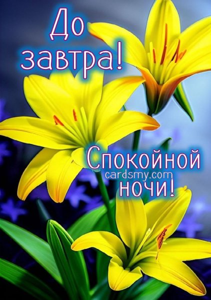 Друзья!