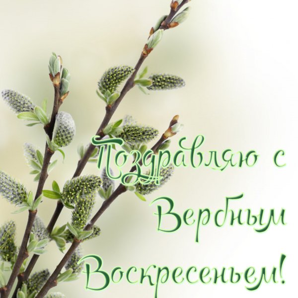 С Вербным Воскресеньем 1