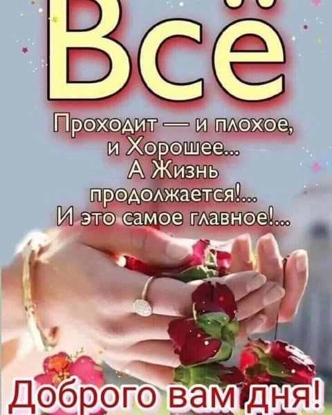 RiPoch7QtZ8