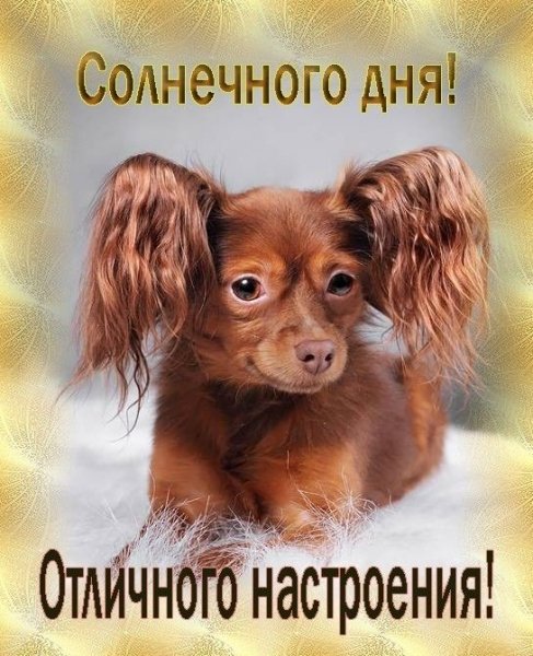 Всем и каждому!