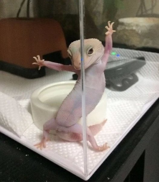 А теперь танцы!