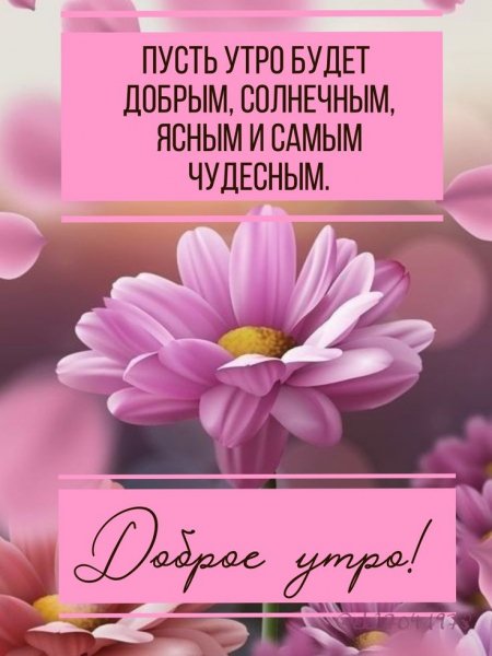 Доброе утро!