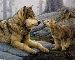 picture_133696039