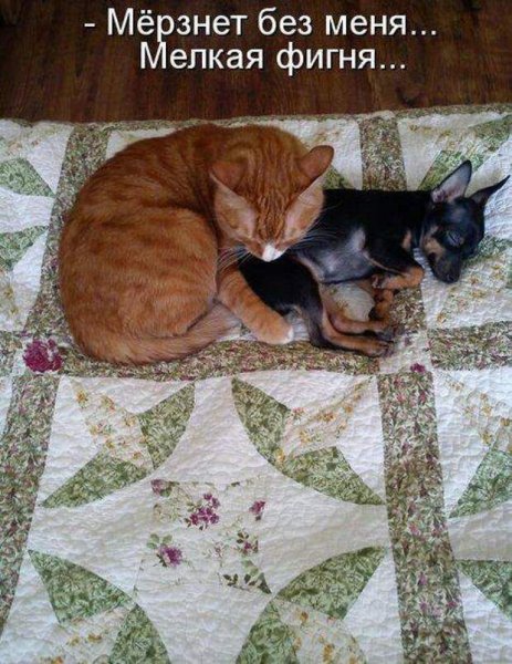 Мелкая фигня...