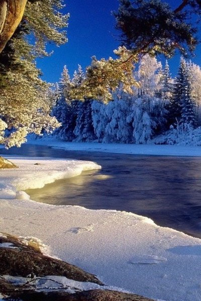 Зимний пейзаж