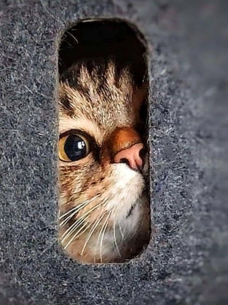 f03b8fd032bd16d1a43e4f25d040c