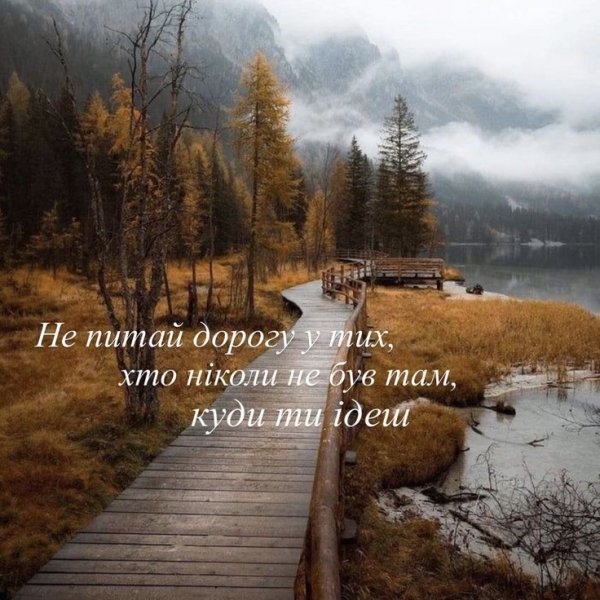 d58b456df468222411026