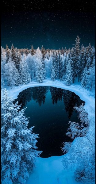 Арт Природа
