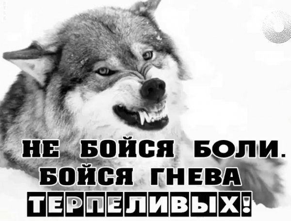 IMG 20181102 200635