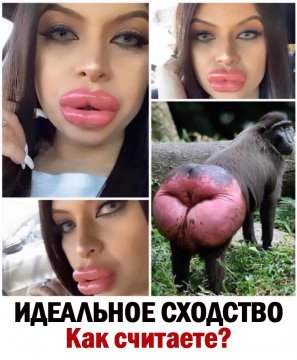 p.0.360.0