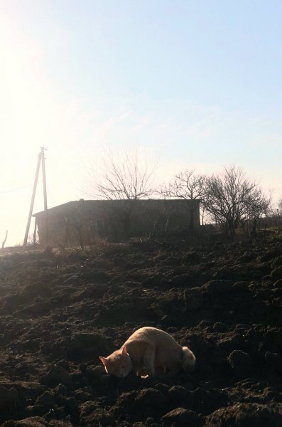 IMG-22a9da62052ccd4b10d918d58a0d2c3d-V