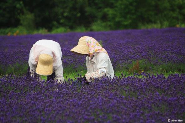 f0aa6af072554ae40814cc16dd1 prev