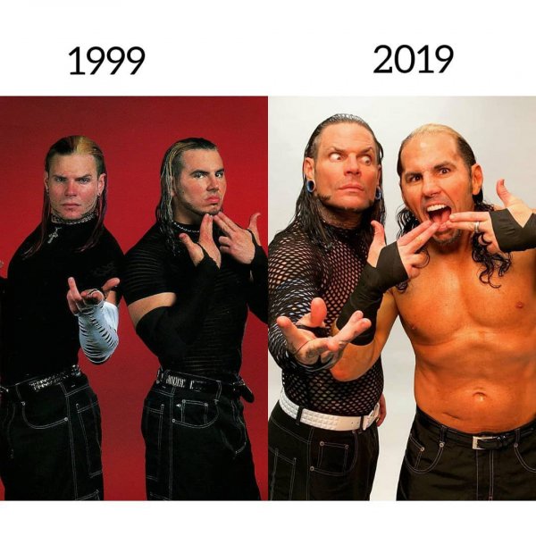 Wwe (445)
