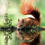 Saved Images 3a301ffdc5b8beec789217ffe09eaf75