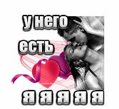 image (11)