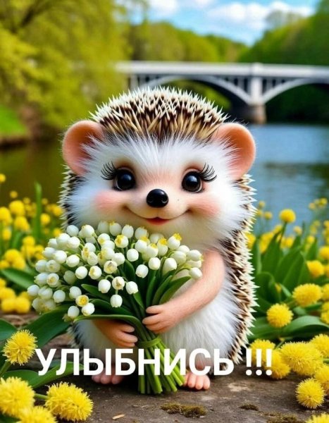 8d65fffbc7accd88f4a5daad21874914