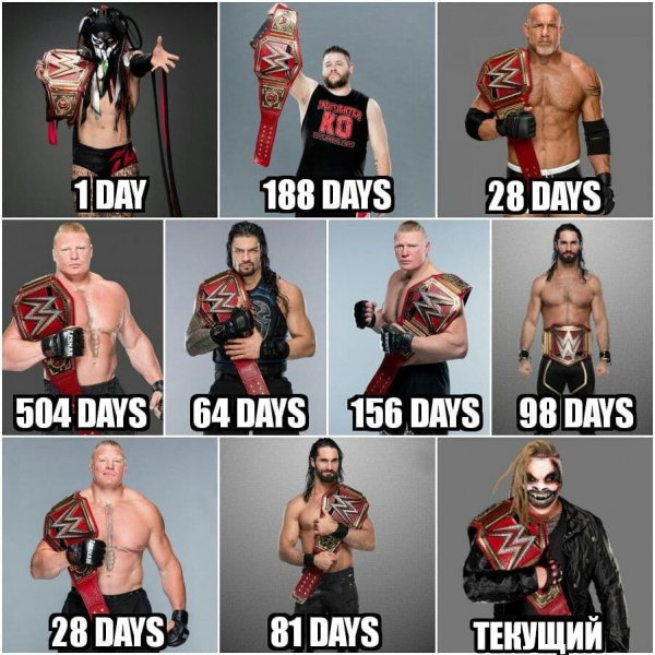 Wwe (291)