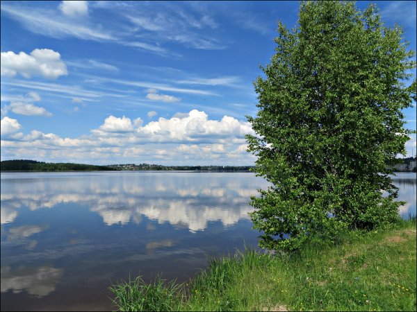 Хочу тишины