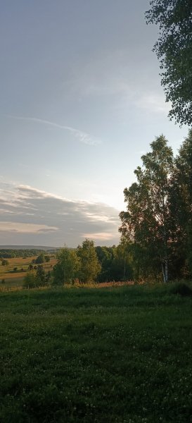picture_398682247