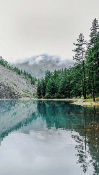 Screenshot 20250321-124448 One UI Home