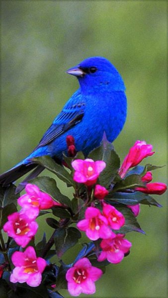 a244704ef64e6e814b2ea1f032af8