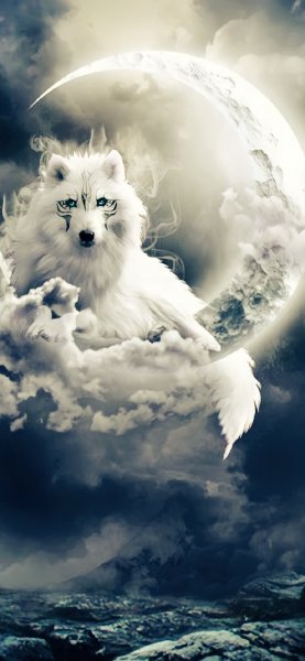 Nochnoy Volk na Lune