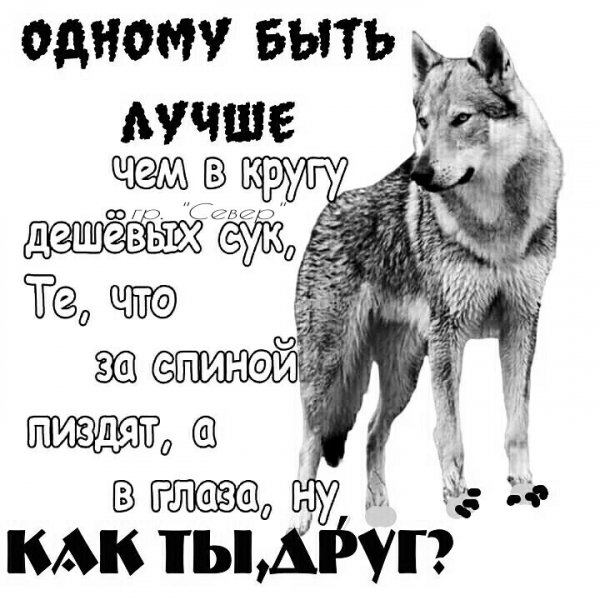 IMG 20220311 110913
