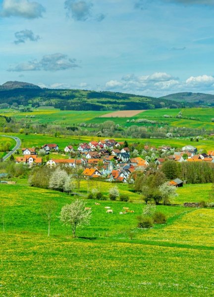 Screenshot 20251028-211620 One UI Home