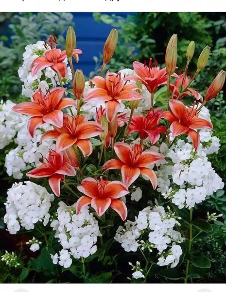 IMG 20190119 142257 355