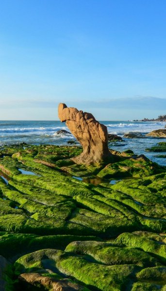 Screenshot 20260222-165554 One UI Home