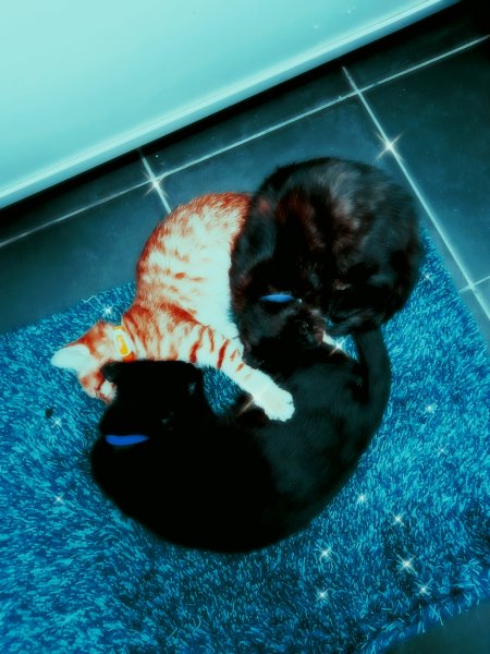 AirBrush 20211212214908