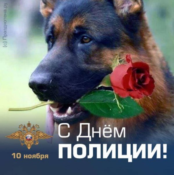 Примите поздравления!